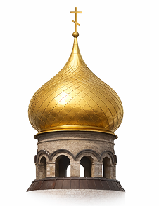 ЛУКОВИЦЕВИДНЫЙ
